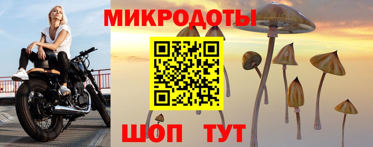 Галлюциногенные грибы Magic Shrooms Сибай
